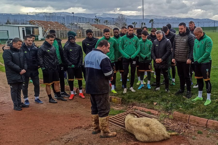 UŽAS! Nekadašnji turski superligaš žrtvovao ovna pre treninga i sliku okačio na društvene mreže (FOTO)