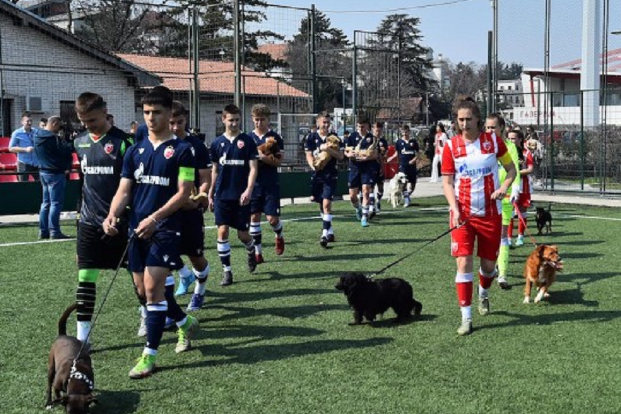 ONI SU ČOVEKOV NAJBOLJI PRIJATELJ Zvezda prikupila pomoć za nezbrinute životinje