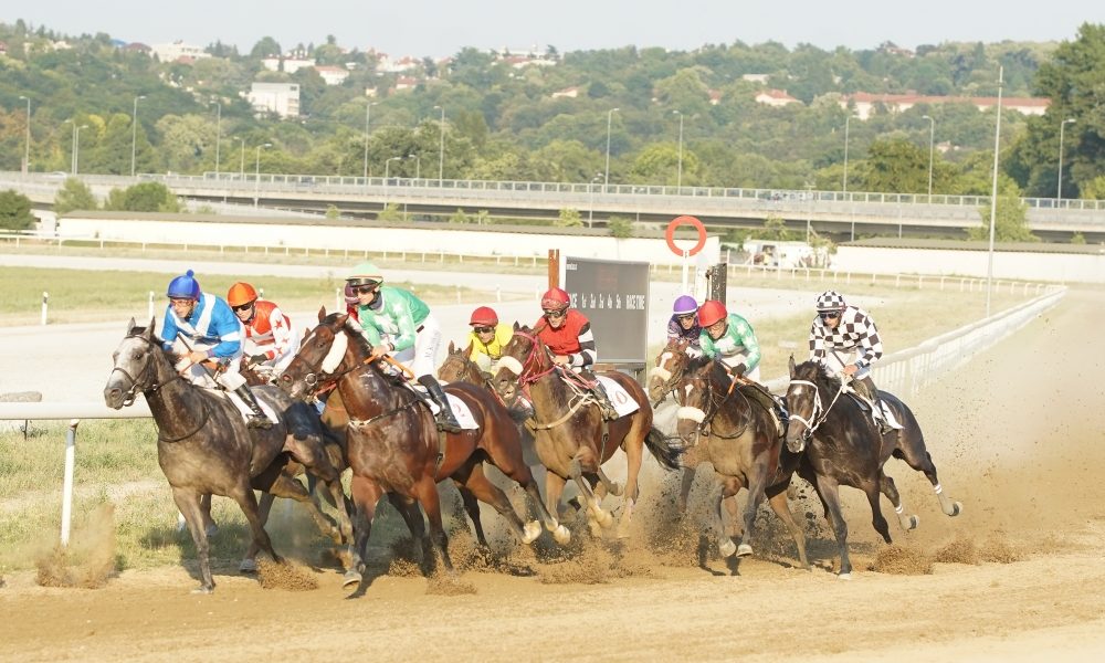 SPEKTAKL Anks je kralj stotog „MaxBet srpskog galopskog derbija“ (VIDEO)