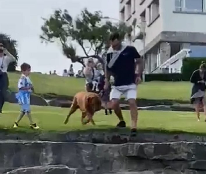 LUDNICA BEZ PRESTANKA Argentinci slave Mesija, ali ne samo njega (VIDEO)