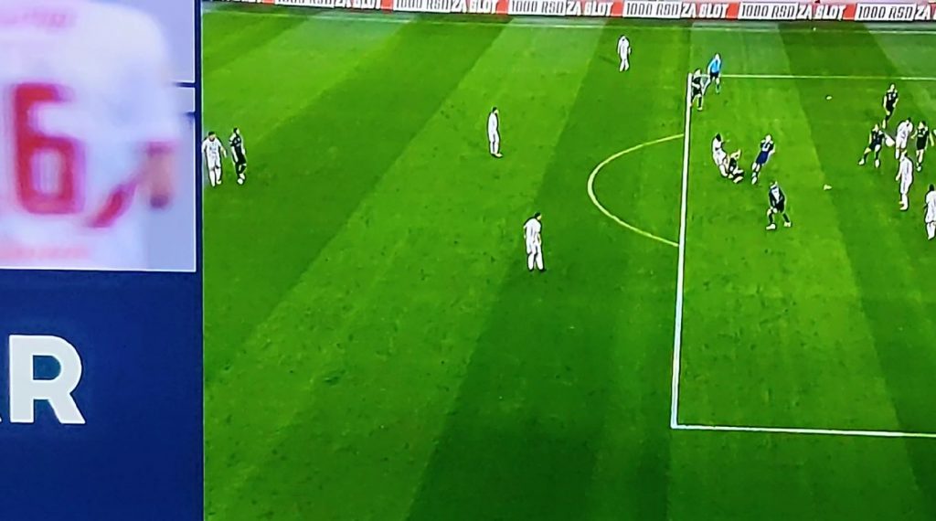 ZVEZDA POVELA IZ PENALA Kangi se ovo ne brani, ubio je pauka (VIDEO)