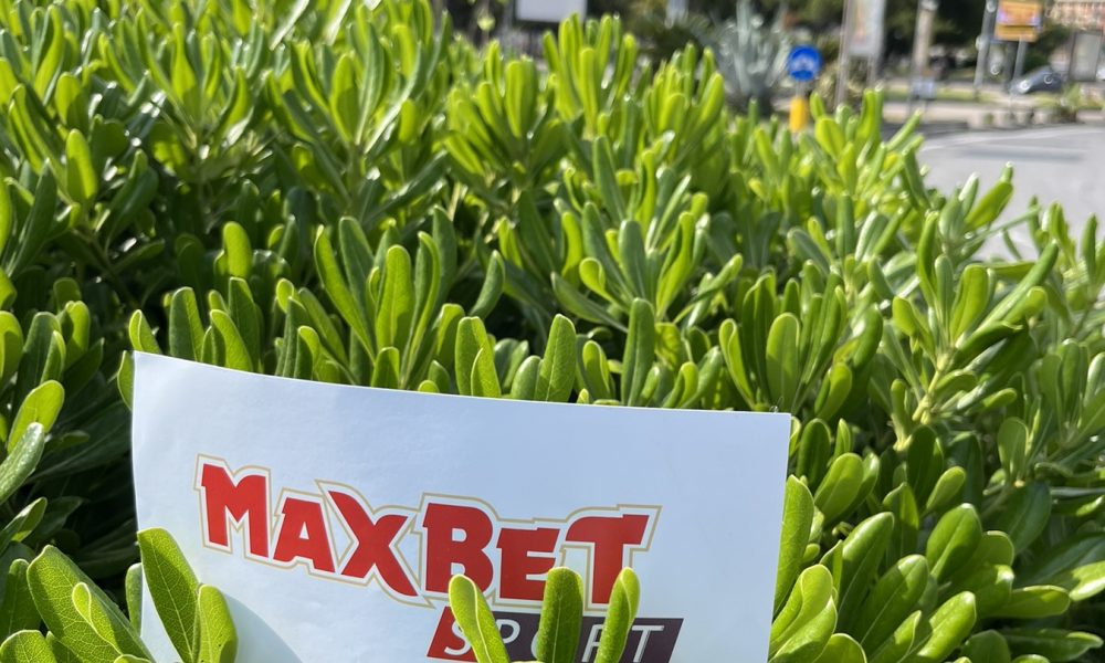 MAXBET SPORT NA LICU MESTA Na ovo se čekalo 33 godine! Napulj spreman za šampionsko slavlje (FOTO+VIDEO)