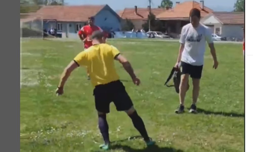 OPASNOST NA TERENU U SRBIJI Zmija prekinula utakmicu, hrabri sudija rešio problem (VIDEO)