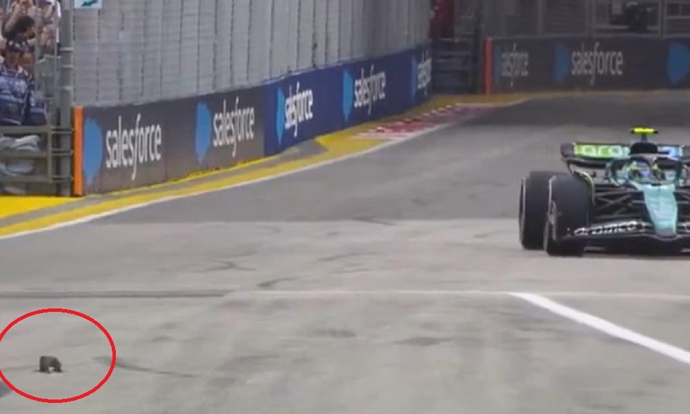 FORMULA 1 Uljez na stazi izazvao prekid treninga u Singapuru (VIDEO)