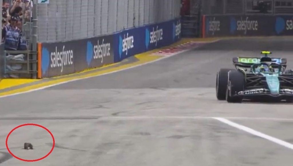 FORMULA 1 Uljez na stazi izazvao prekid treninga u Singapuru (VIDEO)