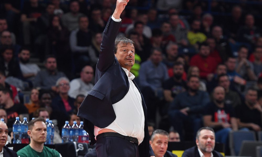 ATAMAN PRED DOLAZAK U BEOGRAD: Jako težak teren za goste! Zvezda je izgubila…