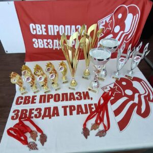 Plivački miting (Foto: PK Crvena zvezda)
