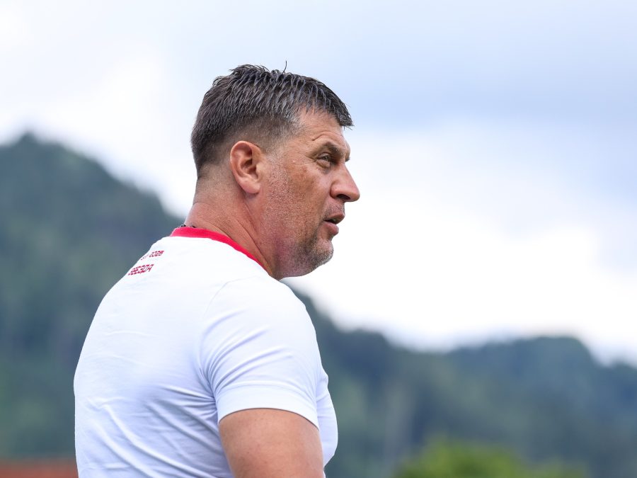 Vladan Milojević (Foto: FK Crvena zvezda)
