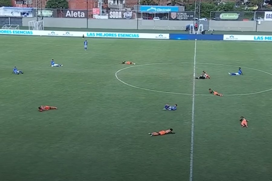 Nezapamćene scene u Kolumbiji: Pomahnitale ose u napadu! Igrači polegali na teren (VIDEO)