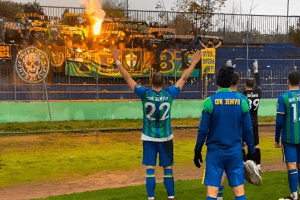 Slavlje igrača i navijača Zemuna / Foto: FK Zemun / Instagram, printskrin